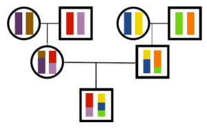 transmission_cartoon