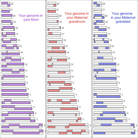 mother_maternal_grandpars10