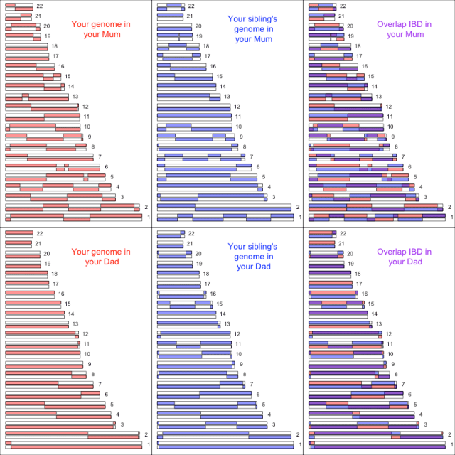 overlap_btwn_siblings1