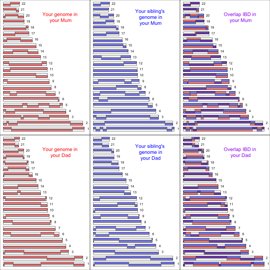 Genomic variation in sharing between siblings | gcbias