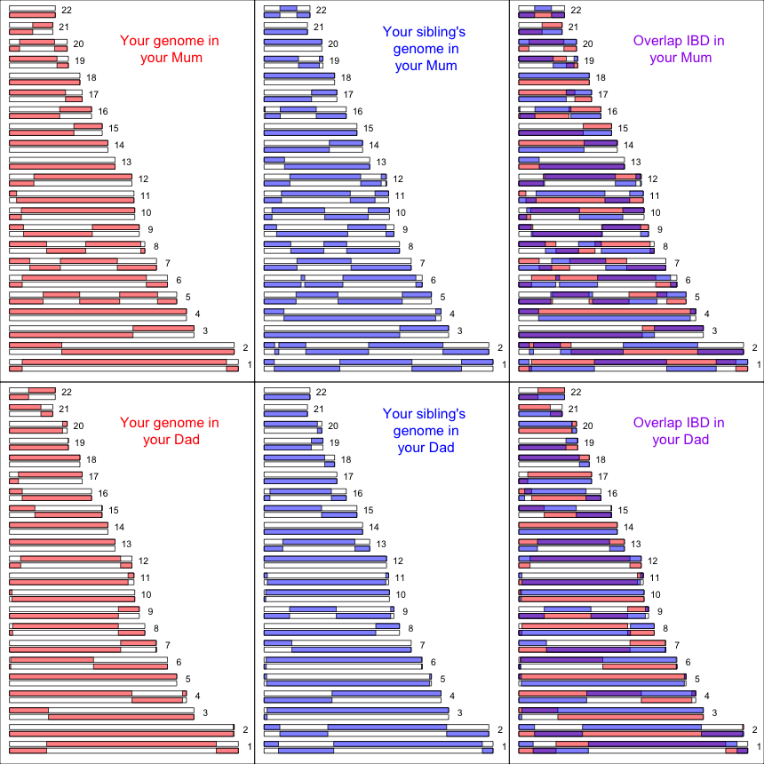 Genomic variation in sharing between siblings | gcbias