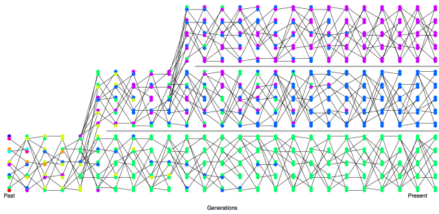 completed_lineage_sorting