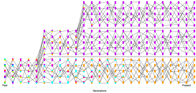 completed_lineage_sorting_2