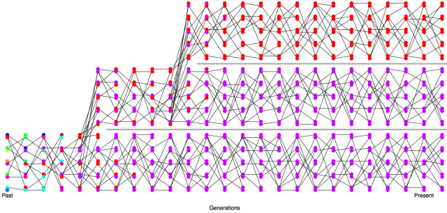 incomplete_lineage_sorting