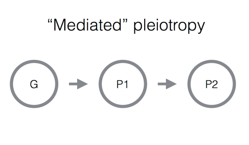 mediated_pl.png