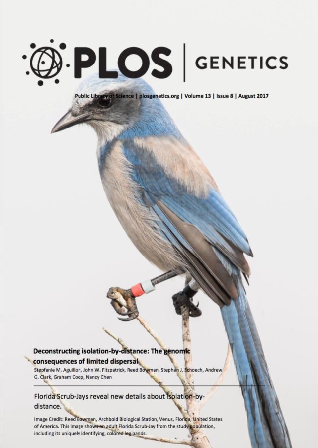 PLOS_cover_image.jpg